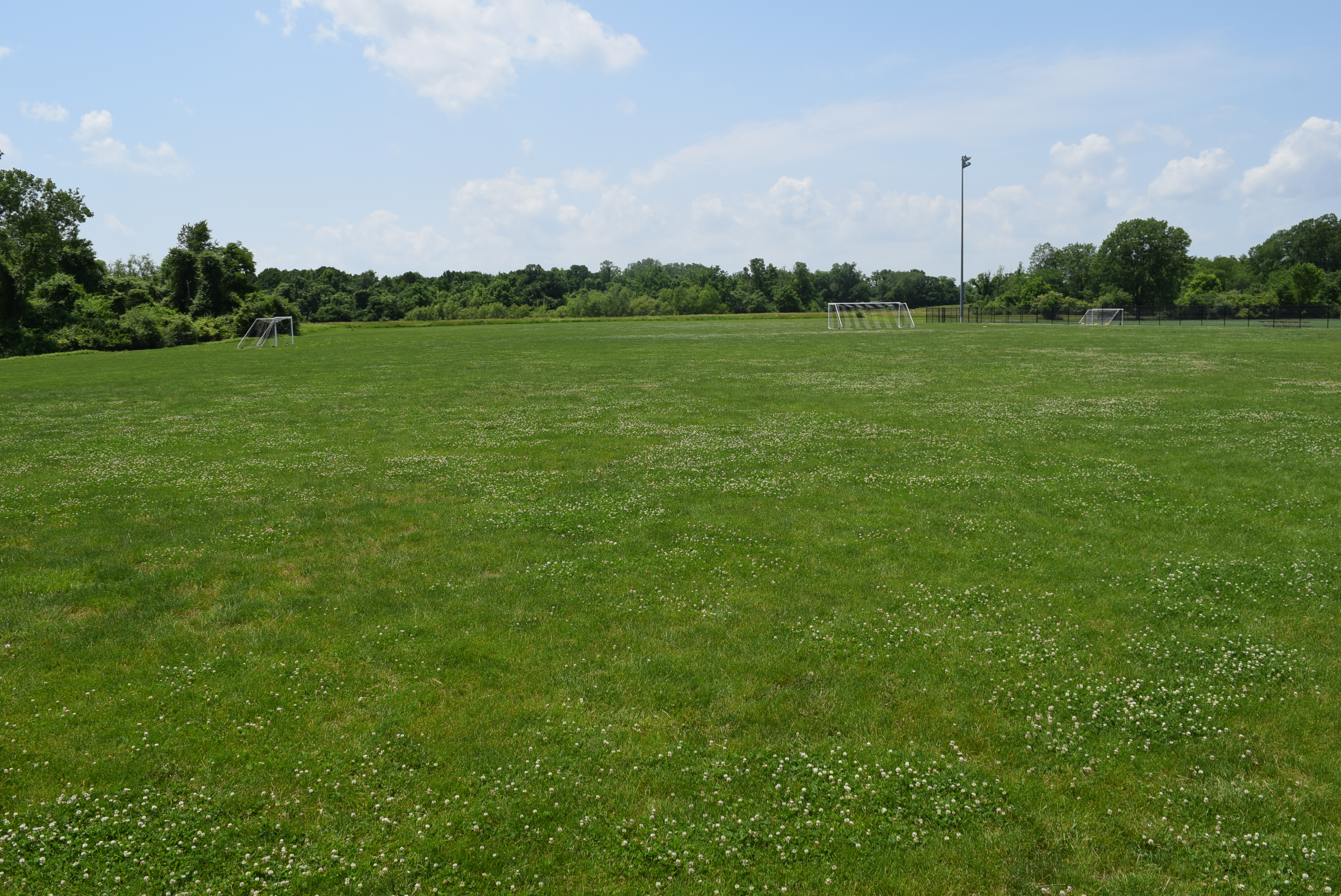 South Recreational Field