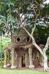 Patrick Dougherty’s Birthday Palace (2014) National Tropical Botanical Garden, Kauai, HI. Photo courtesy NTBG