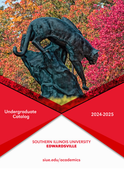 Undergraduate Catalog 2024-2025