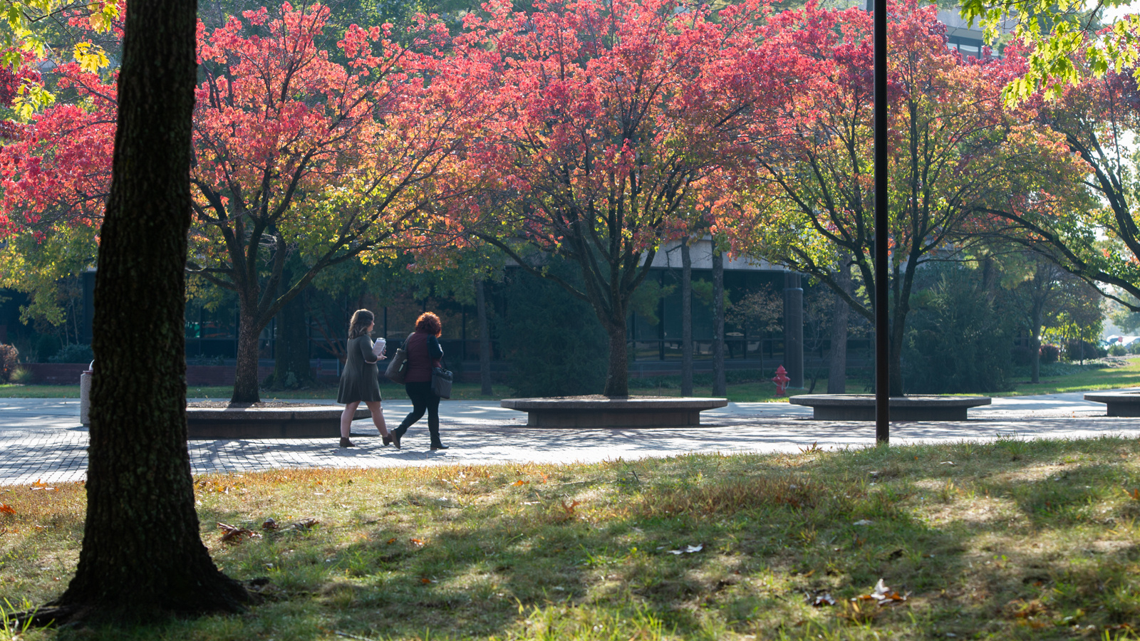 Two women walking on the SIUE Campus