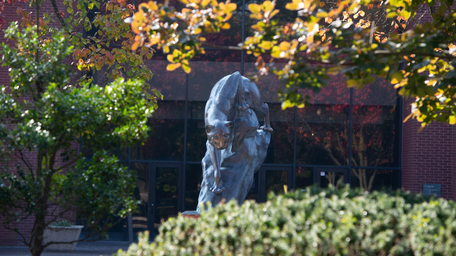 The Cougar Statue at SIUE 