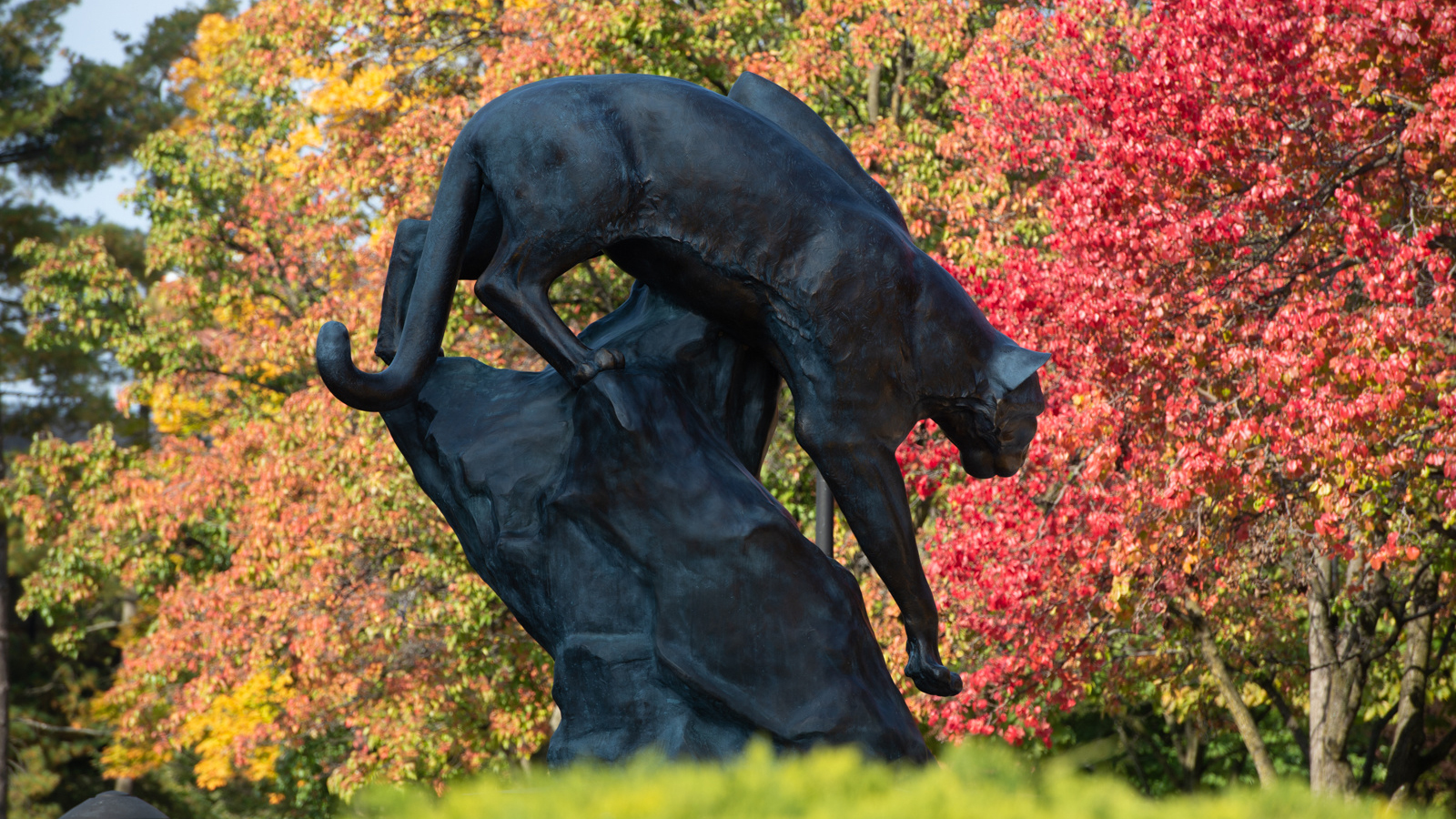 SIUE Cougar statue on campus