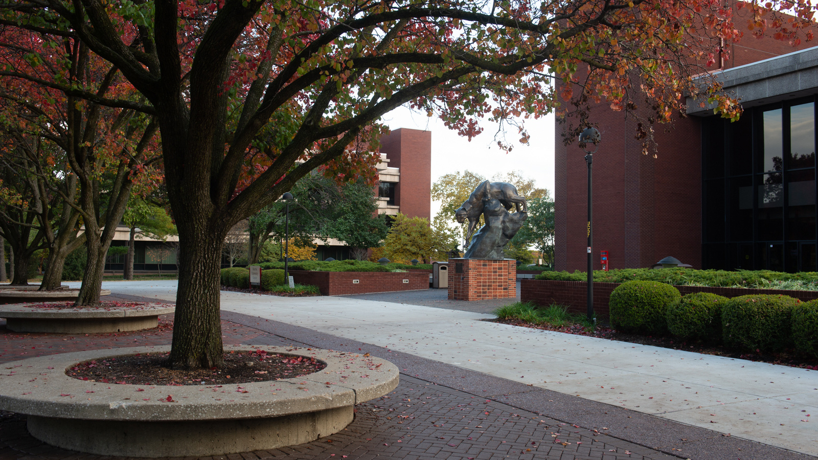 SIUE Morris University Center near the Cougar Statue.