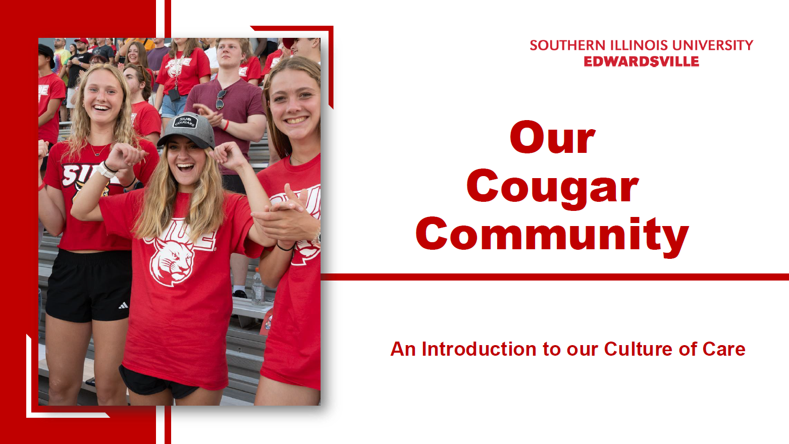 Our Cougar Community Cover