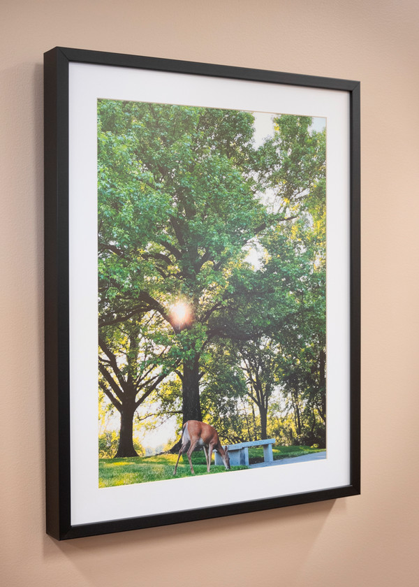 Photo of Jerry Weinberg photography hanging on wall