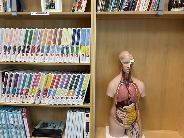 Human anatomy model on bookshelf with books