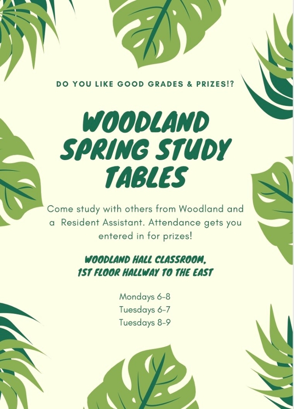 Study Table Flyer