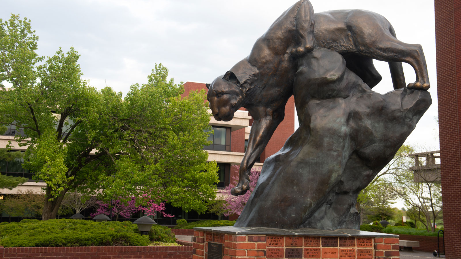 The Cougar Statue