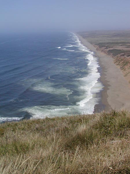 [Pt. Reyes]