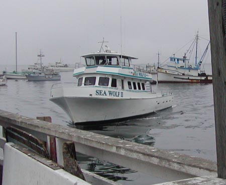 [tour boat]