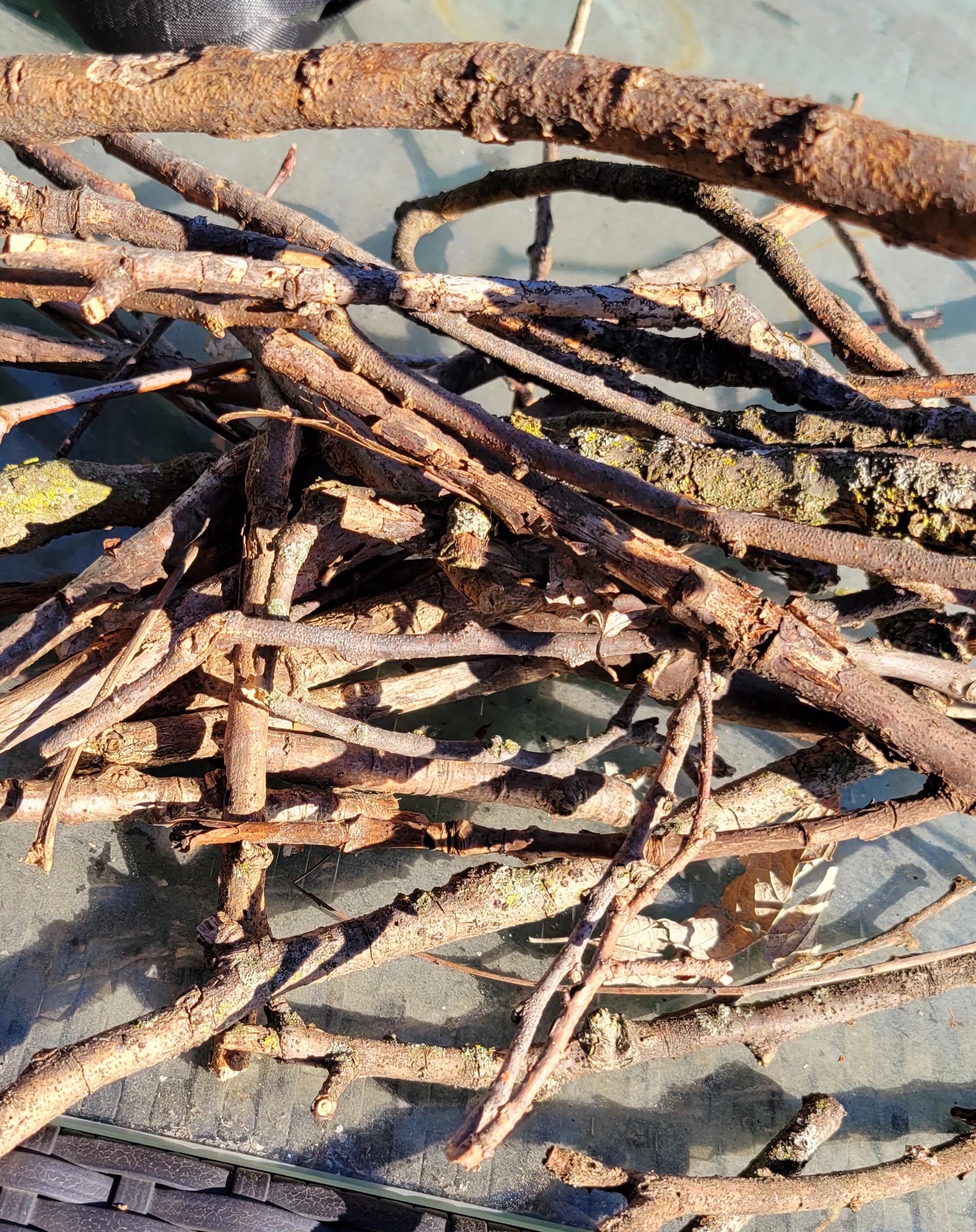 twigs and sticks in a pile