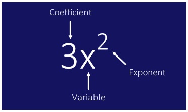 Term with labels