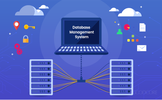 Database Design Photo