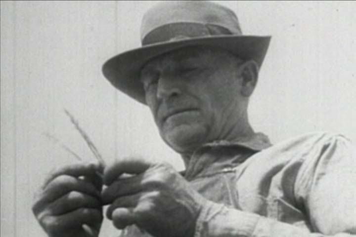 Dust Bowl Farmer